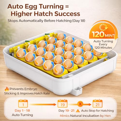 Egg Incubator for Hatching Eggs 30 Eggs, Chicken Incubator with Automatic Egg Turning, Temperature & Humidity Control, Egg Candler, Poultry Incubator for Chicken Quail