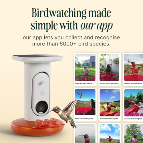 Birdbuddy Solar Hummingbird Feeder with Camera, AI Bird ID, 2K Video, Photo | 2K video quality, 5MP Photos, 1/2.7” sensor with excellent low-light performance, High Dynamic Range (HDR)