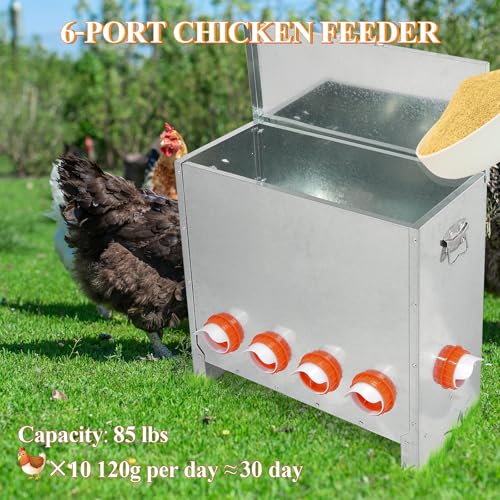 Automatic Chicken Feeder Large Capacity Metal Poultry Feeder 85lbs 6-Ports - color: 85lb with 6 Ports