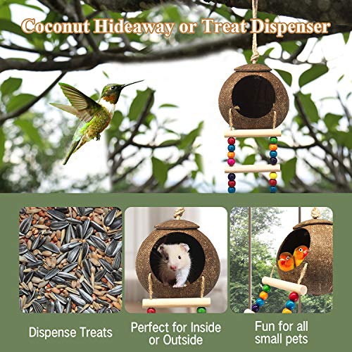 Hanging Coconut Birds House with Ladder, Natural Coconut Bird Nest | Coconut Hide Birds Swing Toys for Parrot Parakeet Lovebird Finch Canary for Hamster, Bird Cage Accessories, Pet Bird Supply