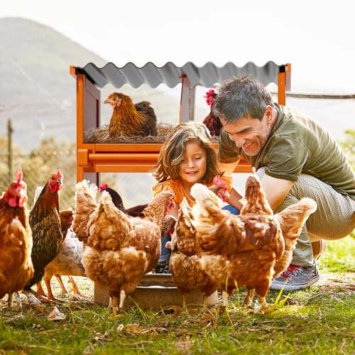 4-Compartment Chicken Nesting Boxes, Spacious for Large Breeds, Premium Pine Wood & Weather-Resistant PVC Sloped Roof, Safe No Sharp Edges for Laying Hens - size: 26.4"L x 12.2"W x 29.8"H
