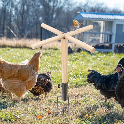 Chicken Perch Toys for Coop, Chick Perch Stand Wooden with Metal Ground Plug Chicken Roosting Bar Ladder Backyard Playground Suitable for Poultry Rooster Chicks Large Bird Parrot - size: 23*23 inches