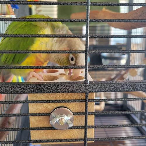 QBLEEV Bird Wooden Block Puzzle Parrot Chicken Foraging Toys, Small Animal Shredding Teething Parakeet Cockatiel Conure Budgie Cage Toys - size: L-3.15“