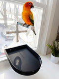 CleanPerch™ Bird Food Waste Catcher Tray with Suction Cups. Half Stadium Shape That attaches to Windows. Reduces Scatter, Easy-Clean, and Low-Profile (Black, 9" x 11.5" x 3.7) - color: Black, size: 9" x 11.5" x 3.7"