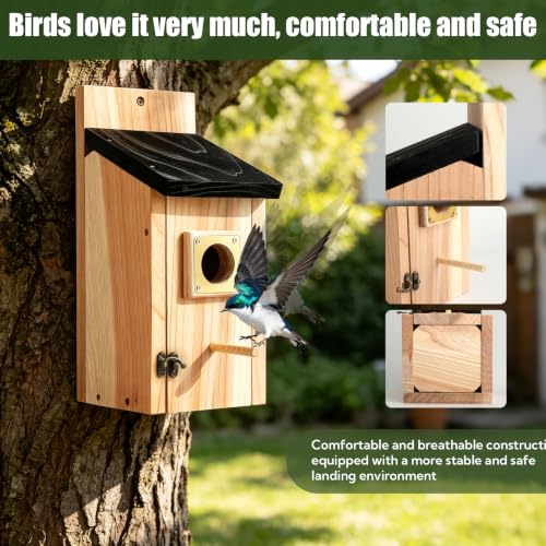 2 Pack Bird Houses for Outside - Cedar Bird House with Metal Predator Guard & Perch, Outdoor Bluebird Nesting Box for Wren Finch Swallow Chickadee, Weather Resistant (Brass) - color: brass