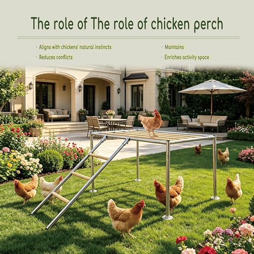 XCL Chicken Roosting Bars Large, Chicken Perch for Coop,Metal Frame Wood Chickens Perch for Backyard Poultry Roosting, Easy to Assemble Clean, Farm Chicken Toys, Accessories (Platform 42" L x 24" W)