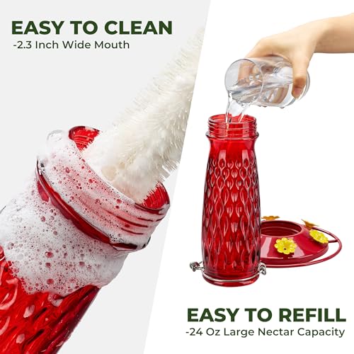 Kingsyard 2 Pack Glass Hummingbird Feeder for Outdoors with Ant Moat | 24 oz, Wide-Mouth Opening, 6 Metal Feeding Ports, Bee Guard, Easy to Clean & Refill Nectar, 360 Degree Perch, Red - color: Red