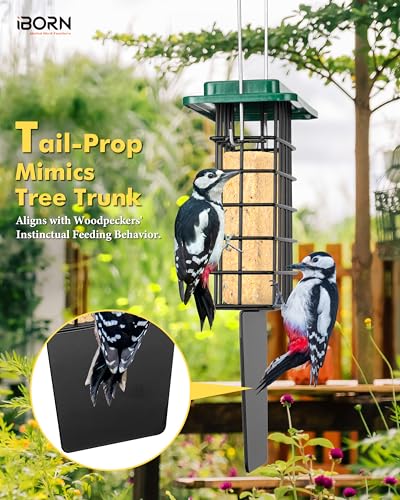 iBorn Suet Feeder with Tail Prop,Woodpecker Feeder,Suet Feeders for Outside Hanging,Suet Bird Feeders for Outdoors,Heavy-Duty Suet Cage,Suet Holder,Rainproof Roof,Easy Clean and Refill,1 Pack,Green - color: Green, size: Single Capacity