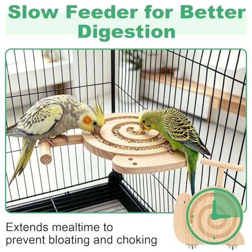 Hypeety Bird Foraging Toys with Perch Enrichment Puzzle Feeder Kit for Cage | Promotes foraging and chewing, kiln-dried wood slow feeder, no mess, fits most cages, for budgies cockatiels lovebirds conure