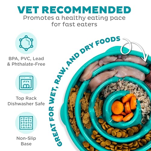 Outward Hound Fun Feeder Slo Bowl – Large 4‑Cup Capacity, Slow Feeding, Medium to Large Dogs, Non‑Slip, Turquoise, Drop Pattern - color: Turquoise, size: Large