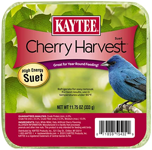 Kaytee Wild Bird Mini Cherry Harvest Suet Cake, 11.75-Ounce - size: 11.75 Ounce (Pack of 1), style: Cherry Harvest
