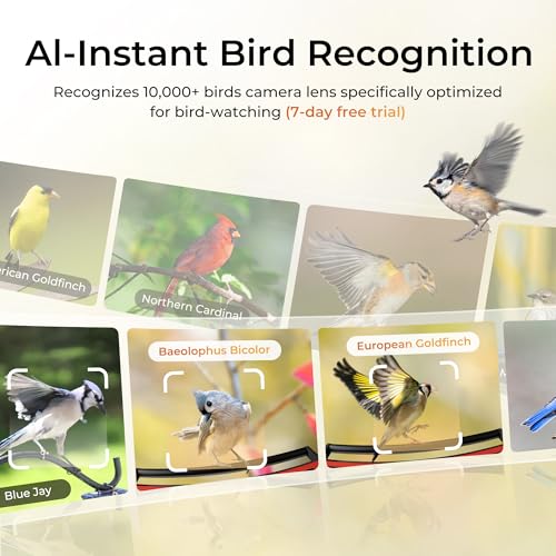 Smart Bird Feeder with Camera, Heavy-Duty Chew-Proof Metal Casing, Solar Powered, AI Identify Bird Species & Instant Notifications, 3.2L Large Capacity Bird Watching Gift, Red