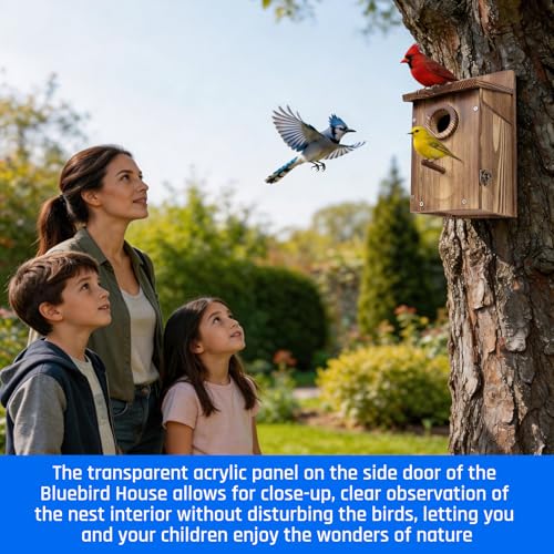 2PCS Bird Houses for Outside – Carbonized Bluebird Houses for Outside With Round Entry Hole & Perch， Features Clear View Window & Predator Guard， Perfect for Bluebirds, Finches, Swallows & More