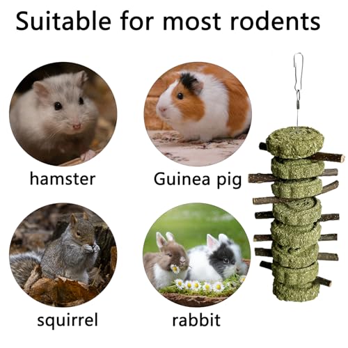 LWINGFLYER 4 Pack Bunny Chew Toys Apple Wood Chews Rabbit Cage Hanging Grass Cake Snack Treat for Teeth Grinding Improve Small Pet Guinea Pigs Chinchillas Hamsters Parrots Dental Health