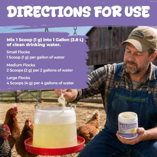 Chicken Probiotics Powder for Chickens, Ducks & Poultry, Digestive Support | Prebiotic & Probiotic Supplement for Digestive Health, Gut Balance, Feed Utilization & Daily Flock Wellness, 60 g