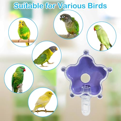 BNOSDM Bird Foraging Toys Cockatiel Foraging Wheel Parrot Cage Spinning Toys Parakeet Enrichment Puzzle Feeder Toy for Budgies Lovebirds Canaries (Purple) - color: Purple