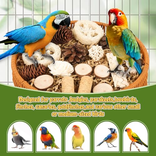 Bird Toys Natural Bird Foraging Toys Parrot Shredding Toys(Large) | Nature material,20PCS Set Conure Chewing Toys hanging basket for Cockatiel Lovebird Parakeet Budgie and Small to Medium Birds - size: Large