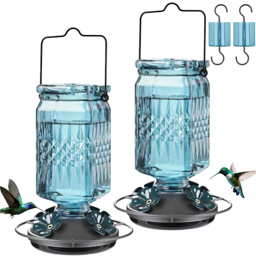 20oz Glass Hummingbird Feeder for Outdoors Hanging, Bird Nectar Feeder with 4 Bee Guard Flower-Shaped Feeding Ports & Built-in Ant Moat, for Bird Lover, Blue (2 Pack) - color: Blue 2 Pack