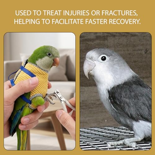 Comfortable Fabric Design Bird Diaper Flight Suit for Small Medium Parrots, Easy to Use Bird Leash for Outdoor Activities, Durable and Secure Bird Walking Accessory