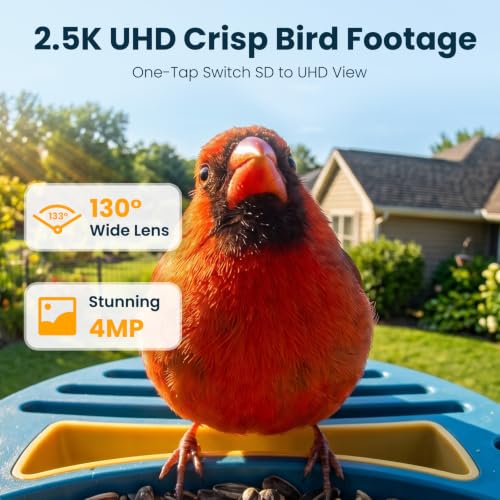 Smart Bird Feeder with Camera, Blue | 2.5K UHD, AI Bird Species Identification, Solar Powered, 2.4G WiFi, IP66 Waterproof Outdoor, Instant Alerts, Gift - color: Blue
