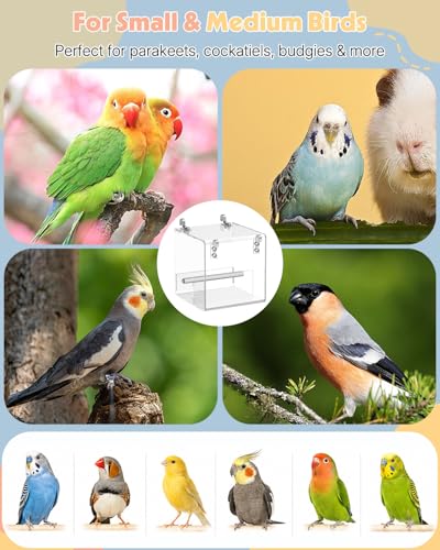 Pawfly No Mess Bird Feeder, Clear Acrylic Bird Cage Feeder, Hanging Bird Feeder for Cage, Parakeet Feeder, Bird Seed Catcher, Food Container for Parrot, Cockatiel, Budgie & Lovebird, Medium - size: Medium