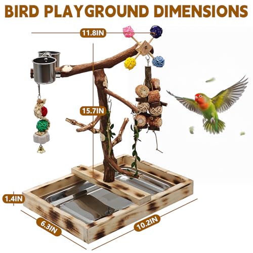 Large Natural Wood Bird Perch Playground for Small Parrots Budgies Conures Lovebirds