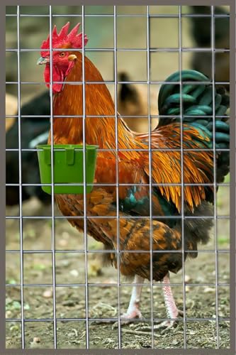 10 Pack Cage Cups Birds Feeders Seed Bowl Chicken Feeding Watering Dish Rabbit Water Food Hanging Wire Cages Box 8oz Coop Cups for Pet Parrot Parakeet Gamefowl Poultry Pigeon (Green) - size: 10PCS Green