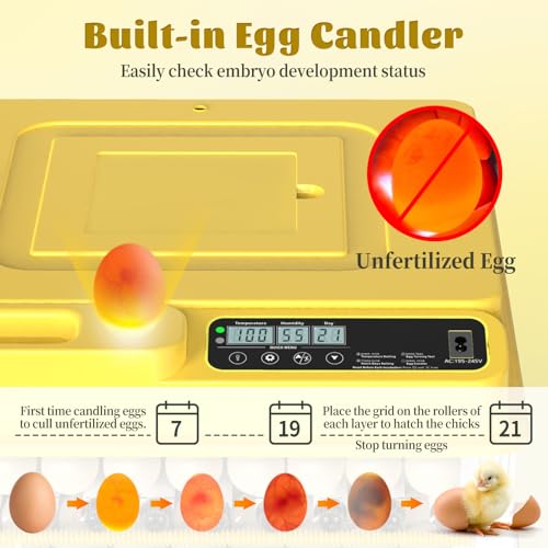 216 Egg Incubator for Hatching Eggs, Fully Automatic Egg Incubator with Auto Temp/Water/Turning, for Chicken Duck Goose Quail Pigeon Turtle Eggs, Humidity Control by Bottles, 360° View Clear Window - size: 216-EGGS