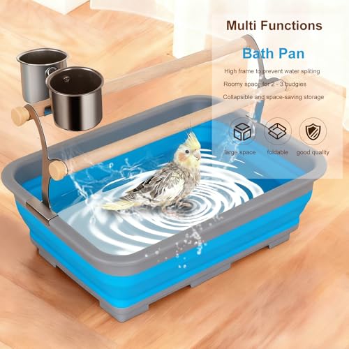 Bird Desktop Training Perch Stand with Washable Plastic Tray, Large Size for Parakeet, Budgie, Cockatiel, Conure, Long Tail Parrot, Collapsible Design (Blue, Large)