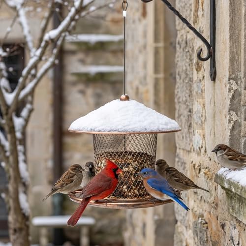 Bird Feeder, Weatherproof Wild Bird Feeders for Outdoors | Birds Feeding Station Metal Round Roof Birdfeeder for Garden Yard Outside Hanging Decor