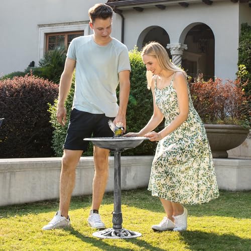 VIVOHOME Bird Bath for Outside, Polyresin Pedestal Birdbath, Gray | Weather-Resistant, 20-Inch Bowl, 28-Inch Height, for Outdoor/Garden, Bird-Friendly, Easy to Clean - color: Gray