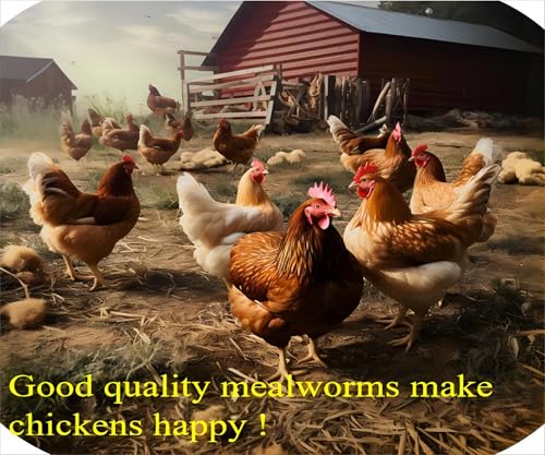 Classic Flock 11LB Dried Mealworms, High Protein for Chickens & Birds | Natural-Sourced Worms, No Fillers or Preservatives, Low Dust, Suitable for Chickens, Ducks, Reptiles - size: 11 Pound (Pack of 1)