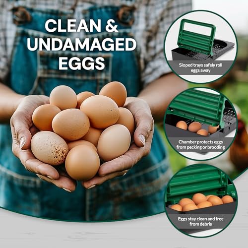 Homestead Essentials Classic Style 3 Compartment, Forward Rollout & Rollaway, Hen & Chicken Nesting Box with Integrated Perch and Protective Egg Laying Collection Lids - size: 3 Compartment