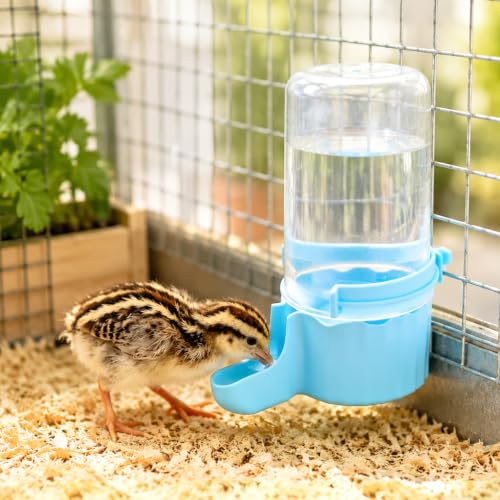 Quail Chick Waterer, Large Capacity Quail Water Feeder for Chick, Duckling, Parrot, Hamster, Hanging or Free-Standing