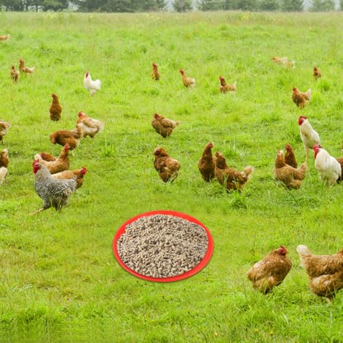 2 Pcs Poultry Feeding Tray and Water Feeder Plate Plastic Chick Feeder Pads for Chicken Coop Farm Use 310Mm Diameter Round Non-Toxic Plastic