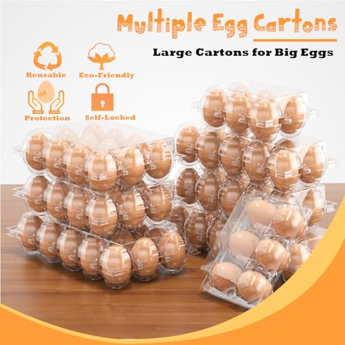 100 Pack Large Egg Cartons Cheap Bulk 12 Count Plastic Egg Containers 2x6 | Large Reusable Bulk Egg Carton Clear Egg Holder for Home Ranch Farm Commercial Market Plastic Egg Contains for Craft Project - size: 100Pack-2x6 Large