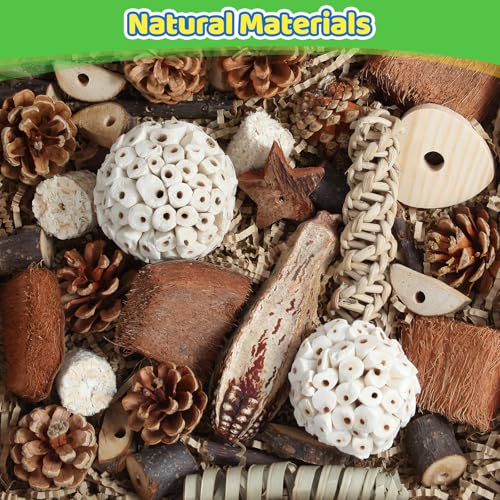 Kyouki Bird Toys Parrot Natural Bird Foraging Box Foot Toys for Parakeets,Cockatiels,Conures,Love Birds,and Other Small to Medium Birds (Large) - size: Large