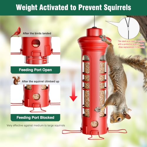 Squirrel Proof Metal Bird Feeder, Removable Base for Cleaning, Weight Activated Perches, 3 Lbs Capacity, Weatherproof & Rust Proof, Outdoor Hanging Bird Feeder for Cardinals, Finches - color: Red
