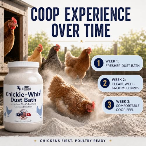 5.5lb Chickie-Whiz Chicken Dust Bath - Made in USA - All Natural Volcanic Ash Dust Bath for Chickens - Healthier Eggs & Feathers - Chicken Coop Accessories for Farms by Billy Buckskin Co. - size: 1 x 5.5 LB