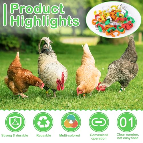 110 Pcs Chicken Leg Rings, Number Chicken Identification Hand Rings