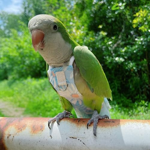 Snap-Closure Parrot Diapers with Adjustable Leash - Washable Bird Flight Suits for Cockatiels, Sun Conures & Quaker Parrots Secure & Chew-Resistant (S – Peachfaced Lovebird + 1m Rope) - size: cockatiel diaper+1 meter rope