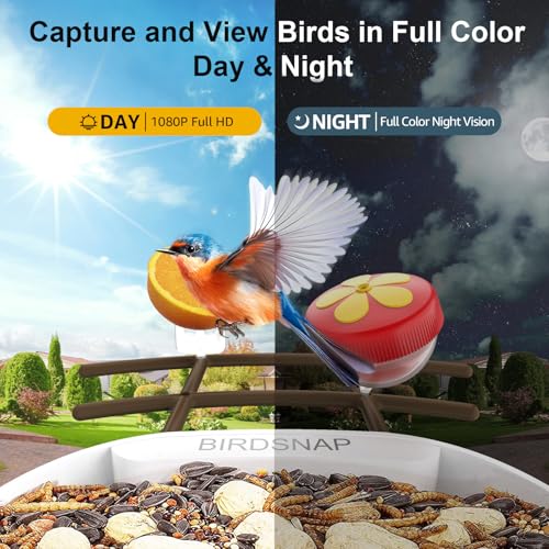 birdsnap® PAV Bird Feeder with Camera Solar Powered 2K Live Video 64GB Card | AI Bird Species Identification, Instant Arrival Alerts, IP65 Waterproof, Wild Bird Feeders for Outdoors, Gift for Bird Lovers - color: Dark Brown
