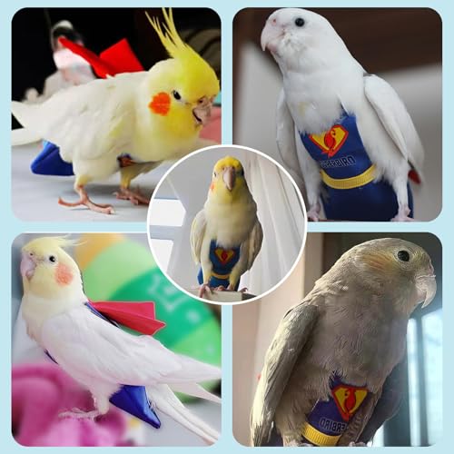 Bird Diaper Cockatiel Clothes Flight Suite, Reusable Parrot Nappy with Waterproof Inner Layer (YELLOE-M) - size: YELLOE-M