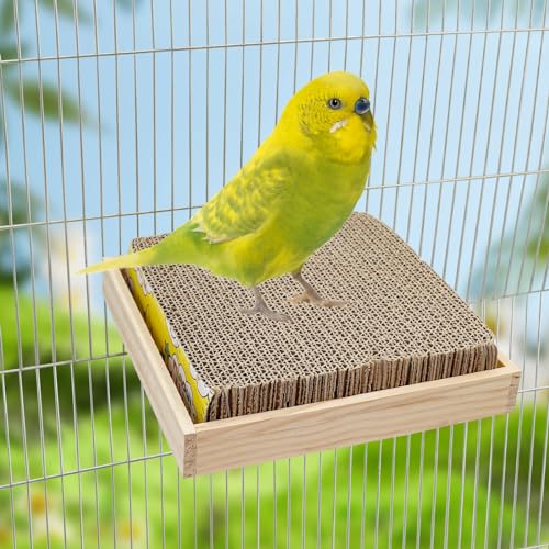 Bird Perch Stand Platform with Cardboard Toys, Parrot Chewing Toys, Parakeets Foraging Toys, Bird Paw Grinding Perch, Cage Accessry for Small Birds Parakeets Conure Cockatiels Lovebird