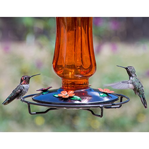 Perky-Pet PP8135 Vintage Carnival Glass Oriole Feeder