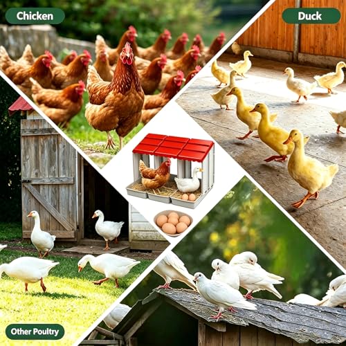 Chicken Nesting Box (Three) Efficiently collects and Protects Eggs Simple Installation Durable and Sturdy Easy to Clean Weatherproof Against rain and Snow - size: Three