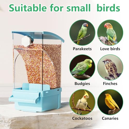 Hamiledyi Automatic Bird Feeder No Mess Bird Cage Feeder Transparent Acrylic Parrot Seed Food Container with Perch Cage Accessories for Parakeet Finch Lovebirds Budgies Canary (Blue) - color: Blue Transparent