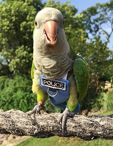 Poli(L) Bird Flight Suits & Diapers - Reusable, Waterproof Pet Bird Supplies