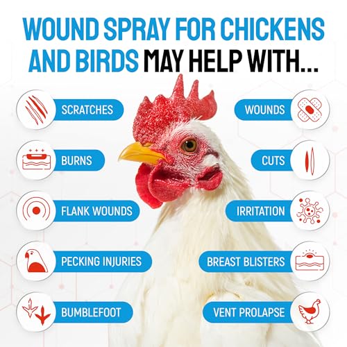 Wound Spray for Chicken – Birds & Chicken Antibiotics Alternative to Help with Pecking Sores, Bumblefoot, Cuts – Poultry Spray with Silver – GMOs Free – 4-Oz Bottle