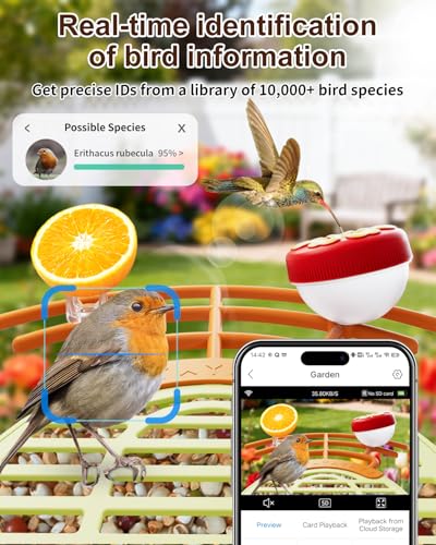 Bird Feeder with Camera, 2K HD, AI Recognition, Solar Powered | Identifies 11,000+ bird species, captures crisp 2K video, solar powered for outdoor, app control and IP65 weatherproof design - color: Light Green, size: With Stand